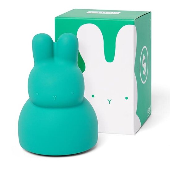 tirelire lapin vert