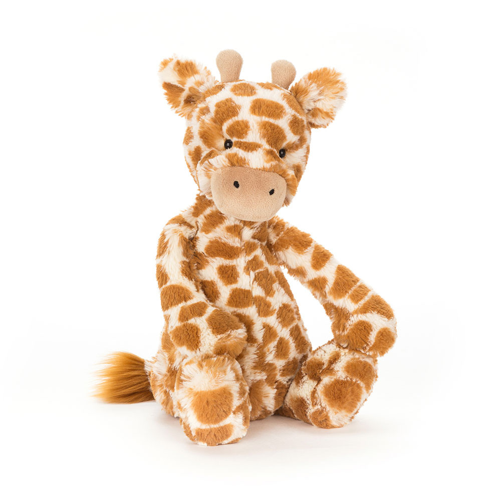 Original bashful giraffe