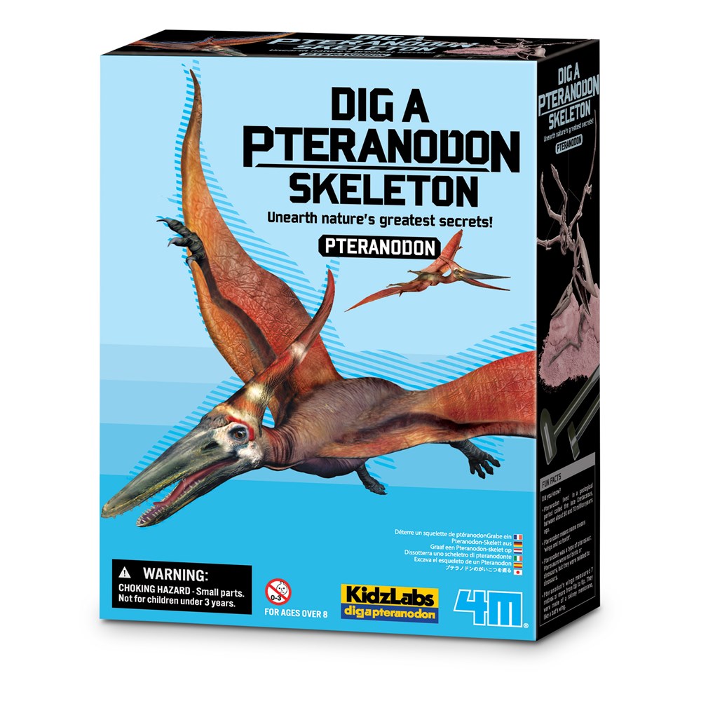 4M - Déterre ton pteranodon 