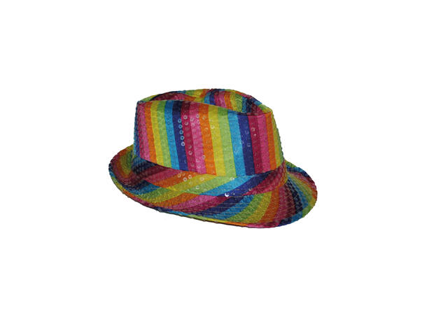 Chapeau avec paillettes  arc-en-ciel