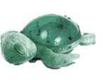 Tranquil Turtle