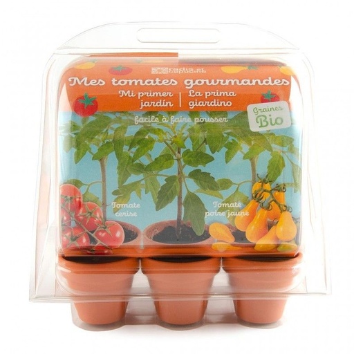 serre en PET 6 pots - tomates enfants