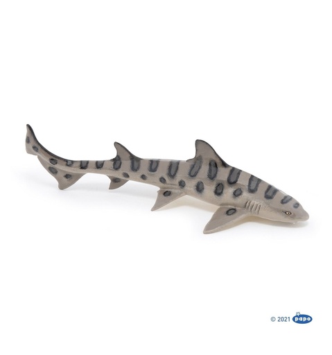 56056 requin leopard