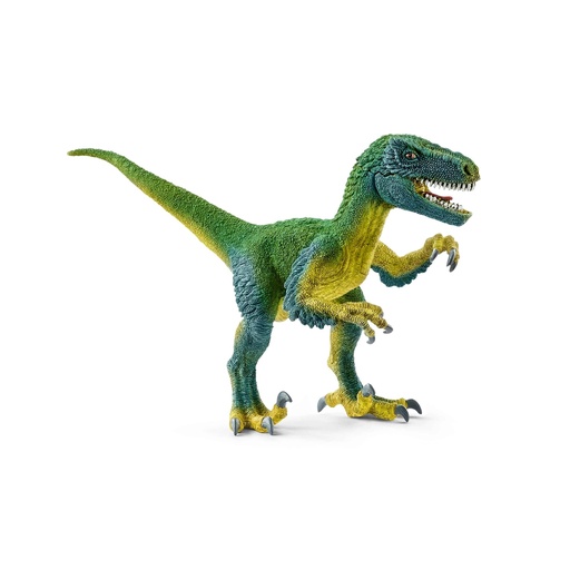 [Puppy-14585] 14585 - velociraptor