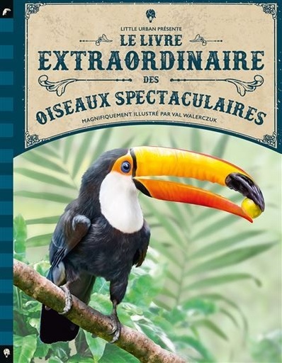 [9782374083407] Le livre extraordinaire - des oiseaux specatculaires