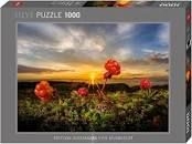 Heye puzzle 1000 pcs cloudberries
