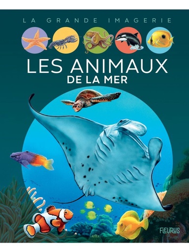 [9782215164739] La grande imagerie - Les animaux de la mer