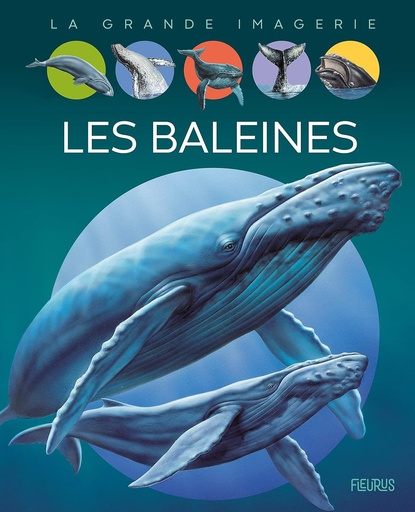 [9782215159162] La grande imagerie - Les baleines