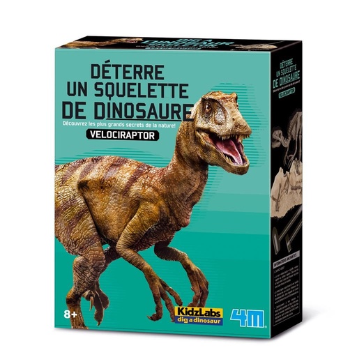 4M - deterre ton dinosaure - velociraptor
