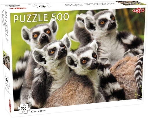 Puzzle 500pcs-singe lemurien