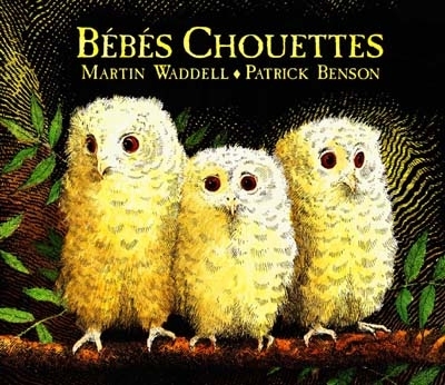 [9782877670883] kaleidoscope - bebes chouettes