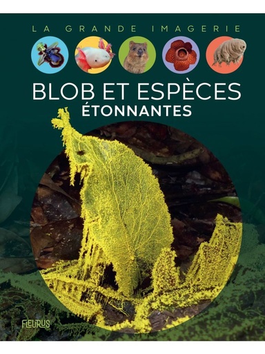 [9782215179689] La grande imagerie - Blob et espèce étonnantes