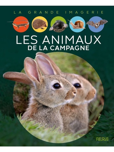 [9782215179580] La grande imagerie - Les animaux de la campagne