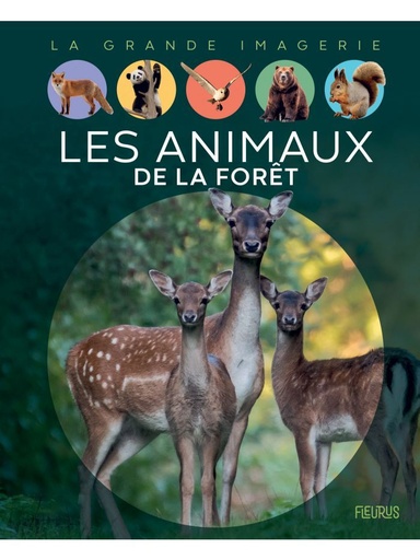 [9782215164722] La grande imagerie - Les animaux de la forêt