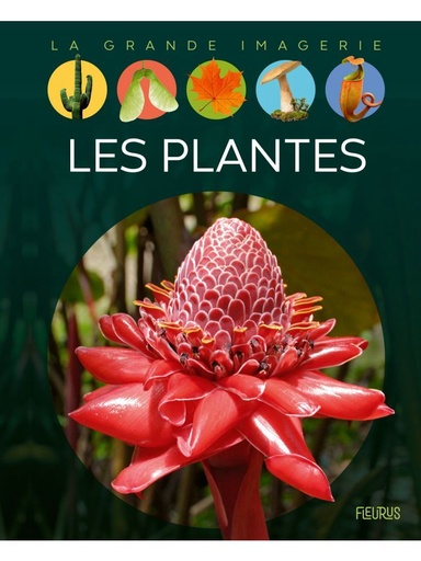 [9782215177609] La grande imagerie - Les plantes