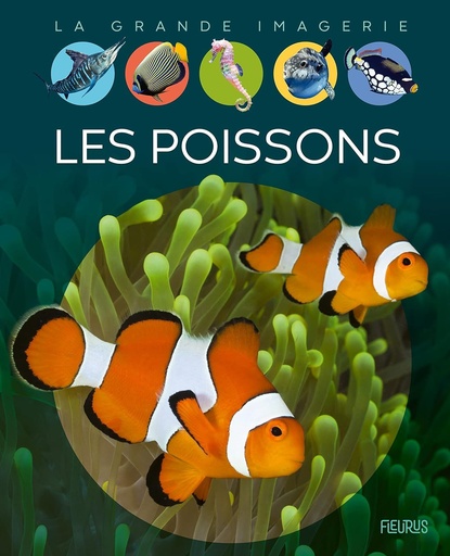 [Média diffusion-FS64296] La grande Imagerie - Les poissons