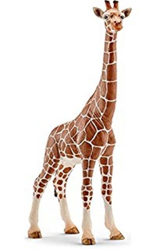 [Puppy-14750] Girafe femelle