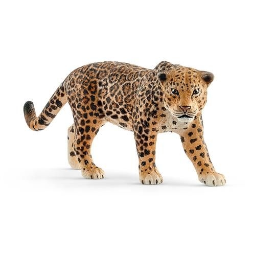 [Puppy-14769] Jaguar