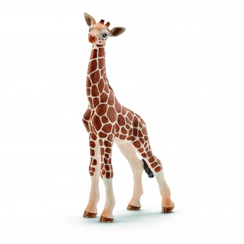 [Puppy-14751] Wild life - bebe girafe