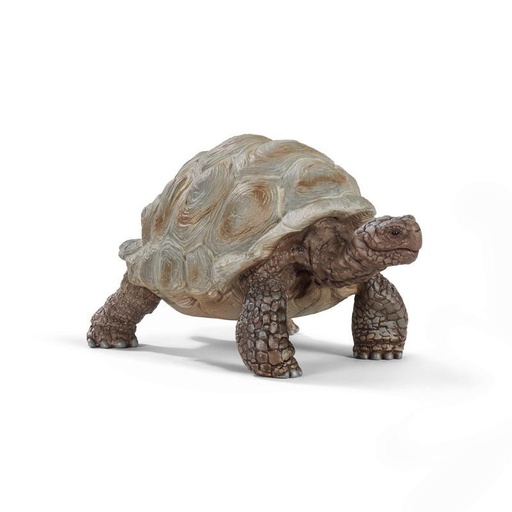 [Puppy-14824] 14824 - tortue geante