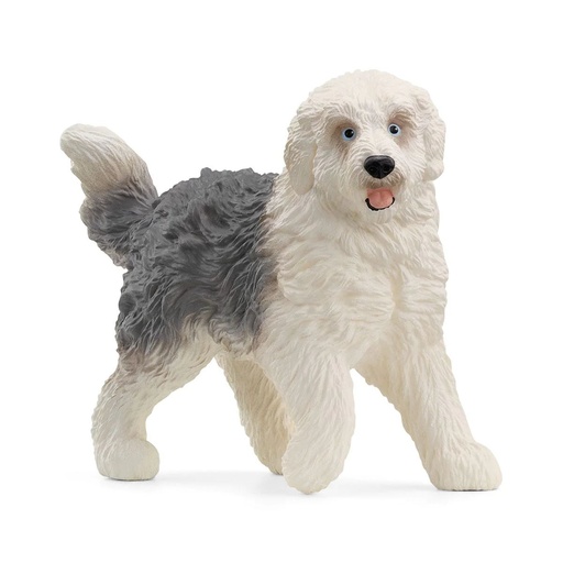 [Puppy-13968] Bobtail