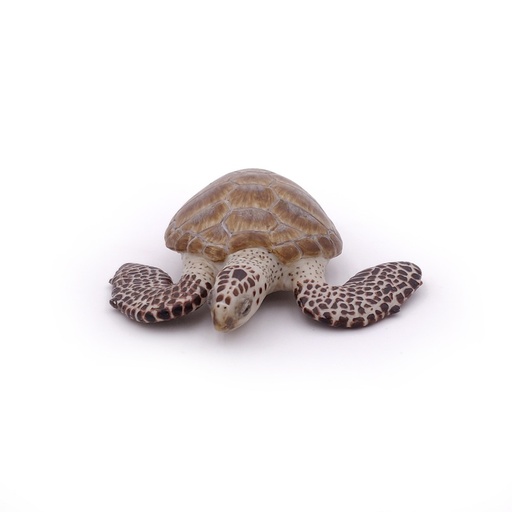 [Papo-56005] Tortue caouanne