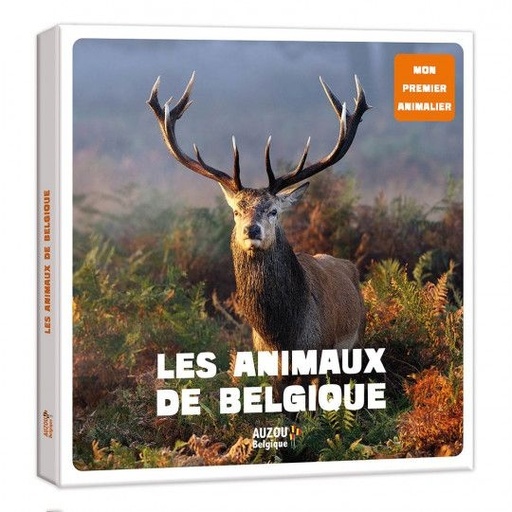 [9782733889428] les animaux de Belgique