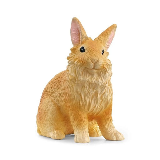 [Puppy-13974] Lapin lionhead