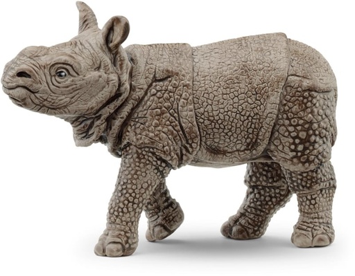 14860 Bebe rhinoceros Australie